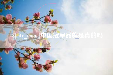 漳州中国冠军品牌是真的吗