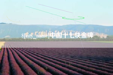 漳州中国十七块金牌