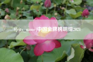 漳州中国金牌榜明细2021