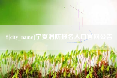 漳州宁夏消防报名入口官网公告