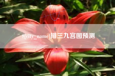 漳州排三九宫图预测