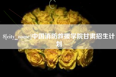 漳州中国消防救援学院甘肃招生计划