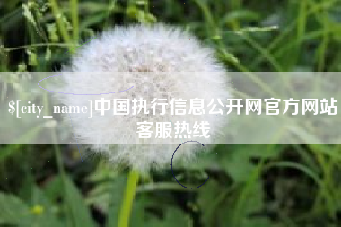 漳州中国执行信息公开网官方网站客服热线