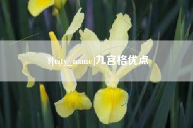 漳州九宫格优点