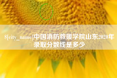 漳州中国消防救援学院山东2020年录取分数线是多少