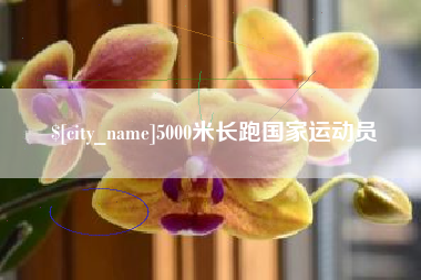 漳州5000米长跑国家运动员
