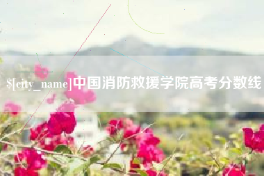 漳州中国消防救援学院高考分数线