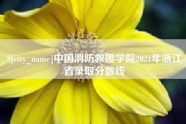 漳州中国消防救援学院2021年浙江省录取分数线