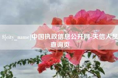 漳州中国执政信息公开网-失信人员查询页