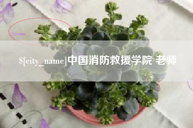 漳州中国消防救援学院 老师