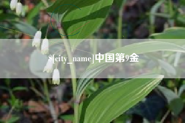 漳州中国第9金