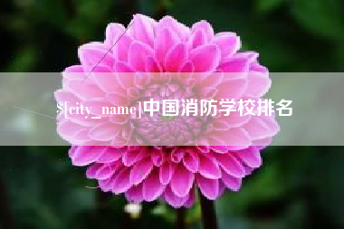 漳州中国消防学校排名
