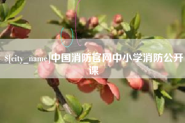 漳州中国消防官网中小学消防公开课