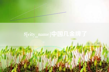 漳州中国几金牌了