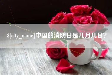 漳州中国的消防日是几月几日？