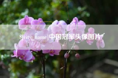 漳州中国冠军头像图片