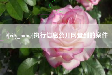漳州执行信息公开网查到的案件