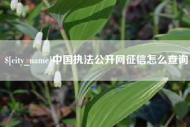 漳州中国执法公开网征信怎么查询
