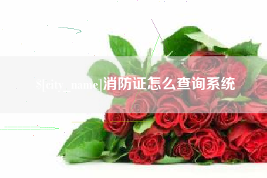 漳州消防证怎么查询系统