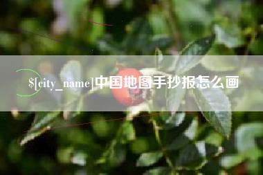 漳州中国地图手抄报怎么画