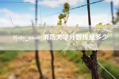 漳州消防大学分数线是多少