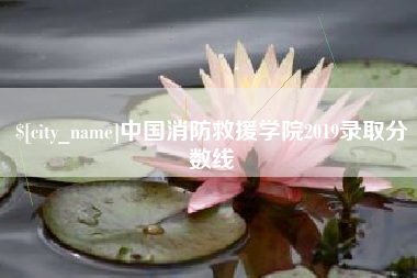 漳州中国消防救援学院2019录取分数线