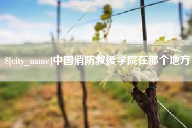 漳州中国消防救援学院在那个地方