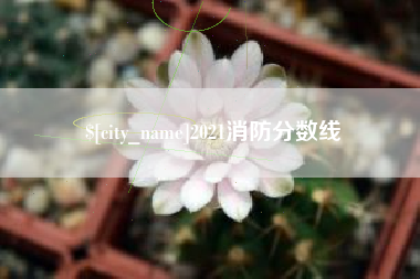 漳州2021消防分数线