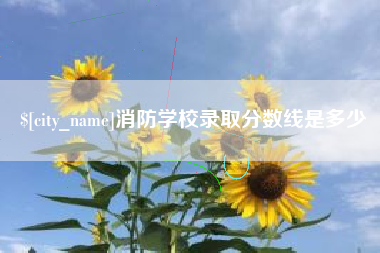 漳州消防学校录取分数线是多少