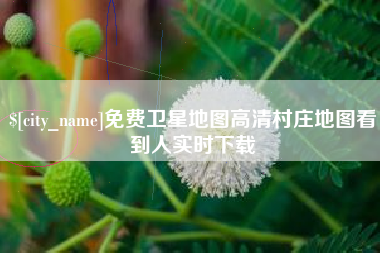 漳州免费卫星地图高清村庄地图看到人实时下载