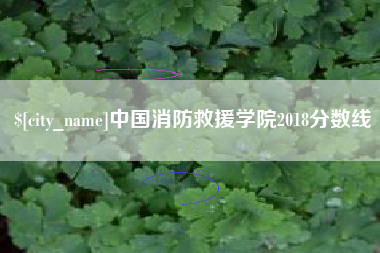 漳州中国消防救援学院2018分数线