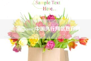 漳州中国执行网信息官网