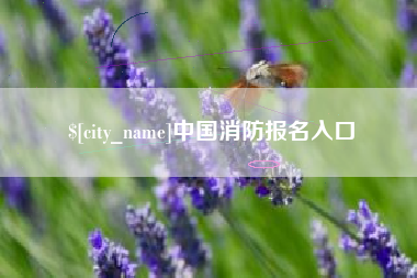 漳州中国消防报名入口
