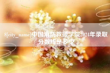 漳州中国消防救援学院2024年录取分数线是多少