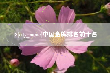 漳州中国金牌排名前十名