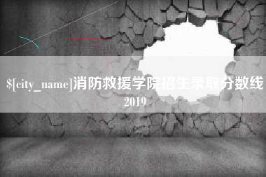 漳州消防救援学院招生录取分数线2019