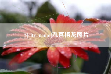 漳州九宫格龙图片