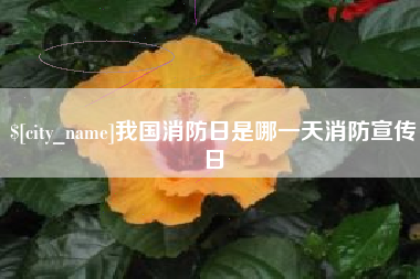 漳州我国消防日是哪一天消防宣传日