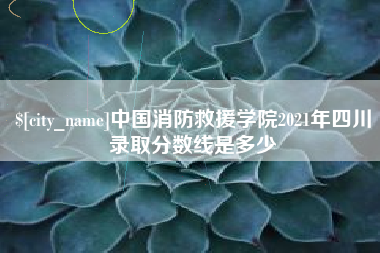 漳州中国消防救援学院2021年四川录取分数线是多少
