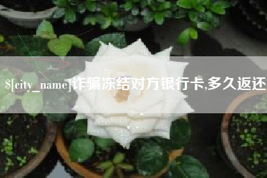 漳州诈骗冻结对方银行卡,多久返还