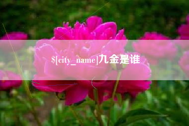 漳州九金是谁