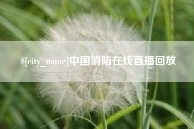 漳州中国消防在线直播回放