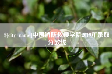 漳州中国消防救援学院2019年录取分数线