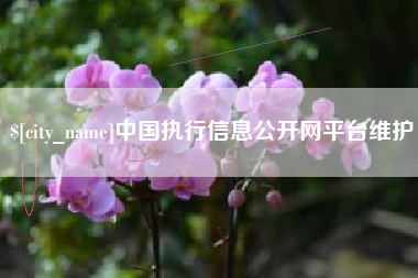 漳州中国执行信息公开网平台维护
