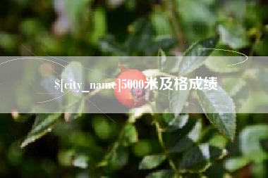 漳州5000米及格成绩
