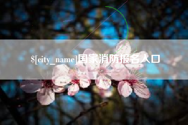 漳州国家消防报名入口