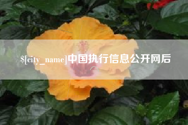 漳州中国执行信息公开网后