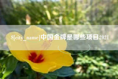 漳州中国金牌是哪些项目2021