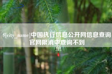 漳州中国执行信息公开网信息查询官网限消中查询不到