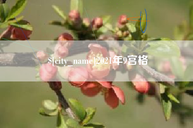 漳州2021年9宫格